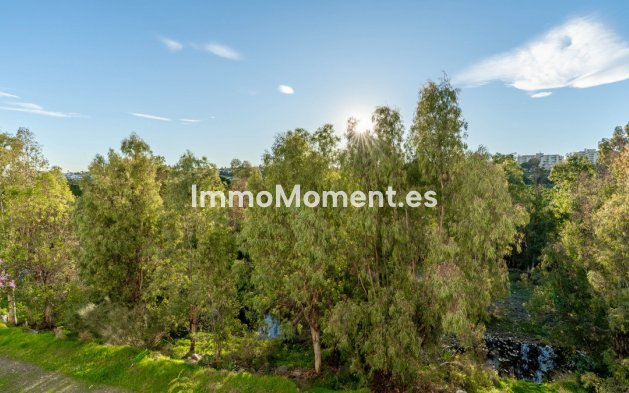 Wiederverkauf - Wohnung - Marbella - Guadalmina Alta