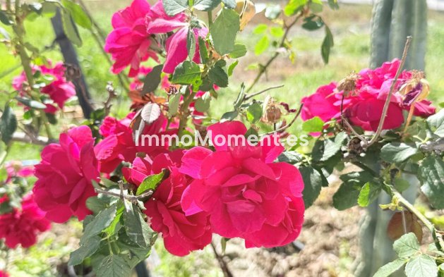 Resale - Apartment - Mijas - Mijas Centro