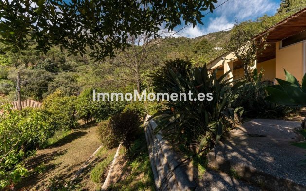 Revente - Maison de campagne - Intérieur                       - Ojén