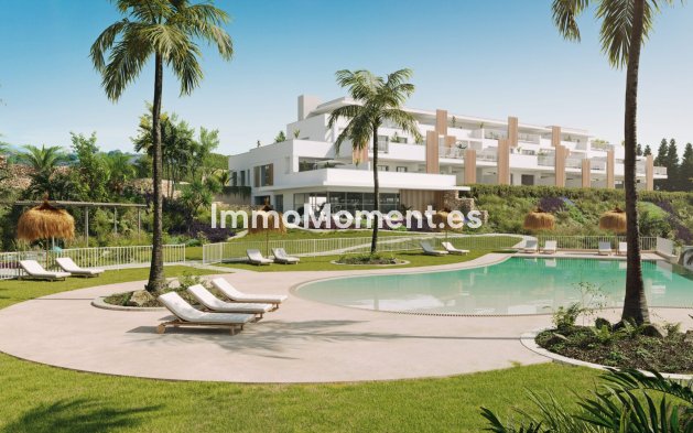 Construction neuve - Ground-floor - Casares - Casares Centro