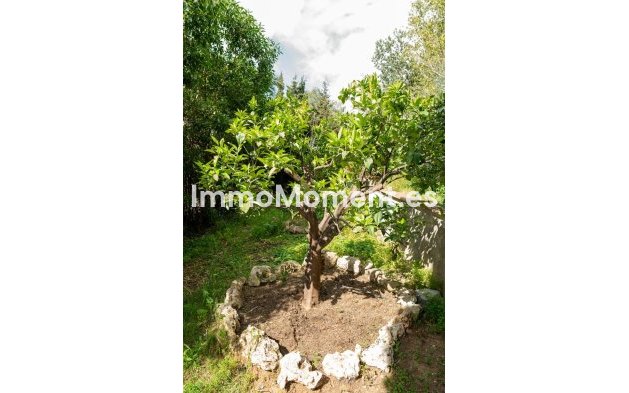 Reventa - Villa - Marbella - Elviria