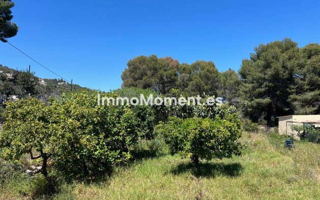 Revente - Villa - Novelda - Estación