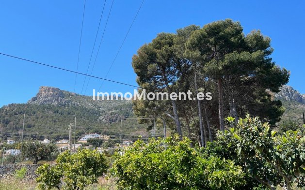 Revente - Villa - Novelda - Estación