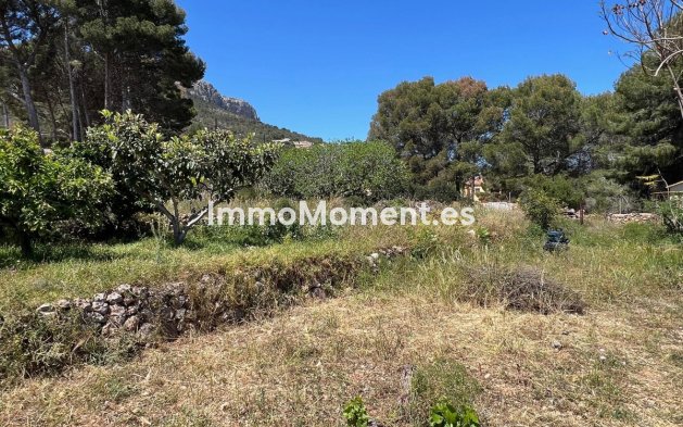 Revente - Villa - Novelda - Estación