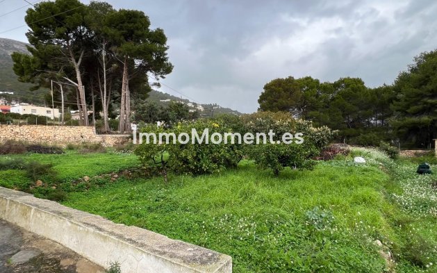 Revente - Villa - Novelda - Estación