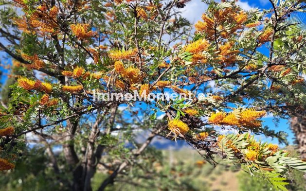 Wiederverkauf - Landhaus - Mijas - La Cala de Mijas