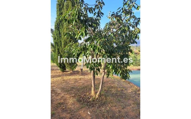 Wiederverkauf - Landhaus - Mijas - La Cala de Mijas