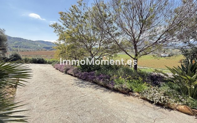 Reventa - Casa de campo - Interior  - Alora