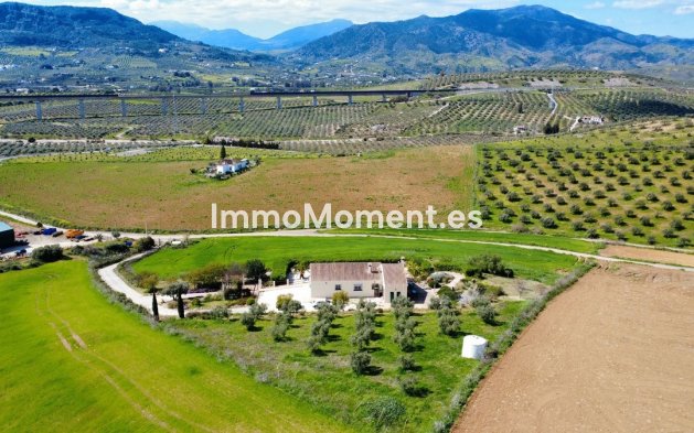 Reventa - Casa de campo - Interior  - Alora