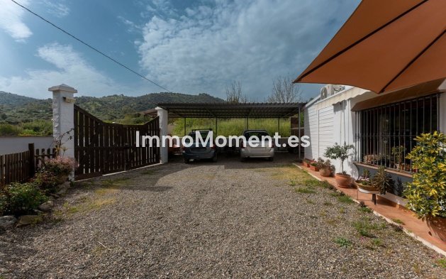 Revente - Maison de campagne - Intérieur                       - Coín