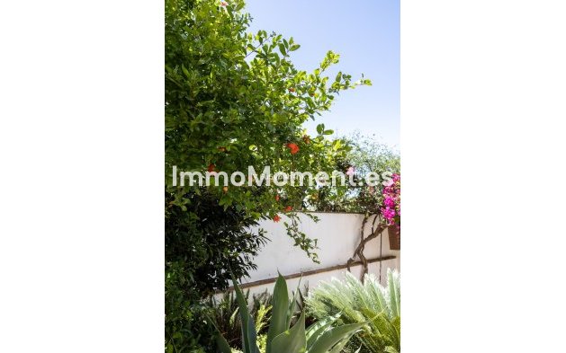 Revente - Maison mitoyenne - Marbella - San Pedro de Alcántara
