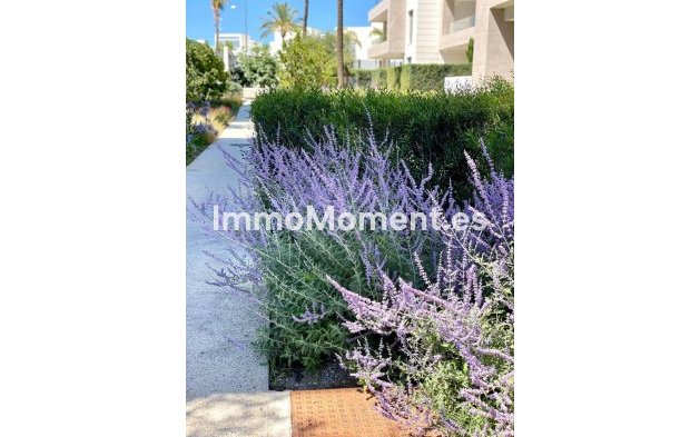 Wiederverkauf - Wohnung - Estepona  - New Golden Mile