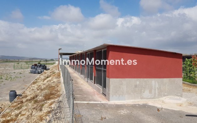 Reventa - Casa de campo - Los Montesinos - Los Montesinos Centro
