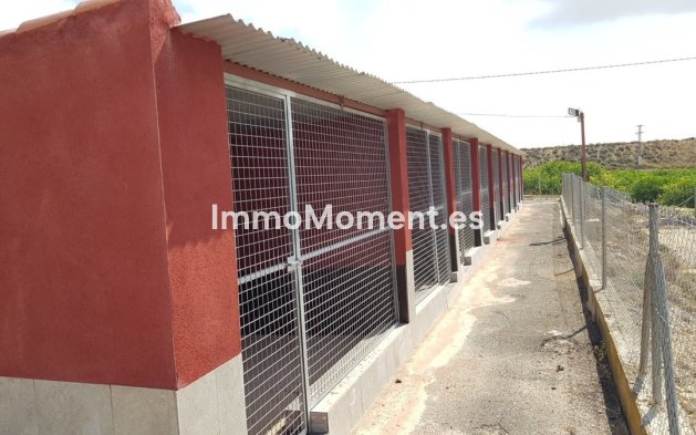 Reventa - Casa de campo - Los Montesinos - Los Montesinos Centro