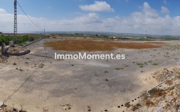 Reventa - Casa de campo - Los Montesinos - Los Montesinos Centro