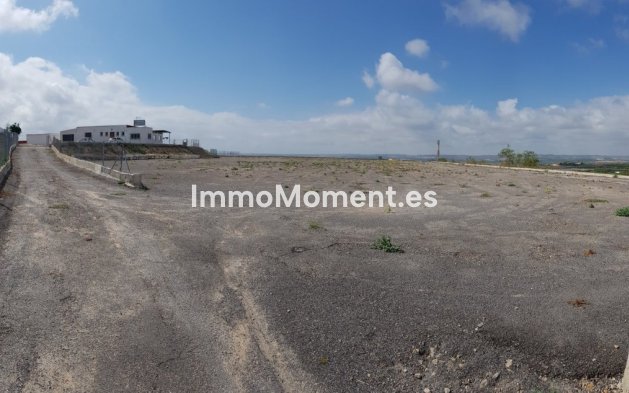Reventa - Casa de campo - Los Montesinos - Los Montesinos Centro