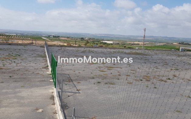 Reventa - Casa de campo - Los Montesinos - Los Montesinos Centro