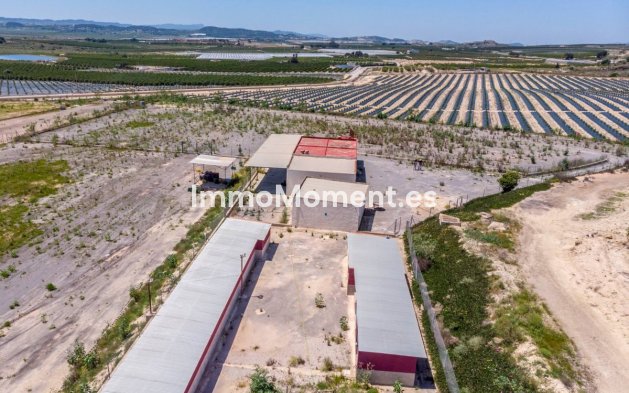 Reventa - Casa de campo - Los Montesinos - Los Montesinos Centro