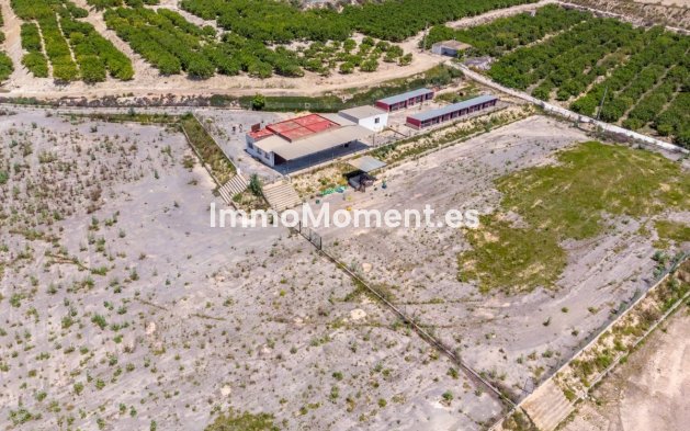 Reventa - Casa de campo - Los Montesinos - Los Montesinos Centro