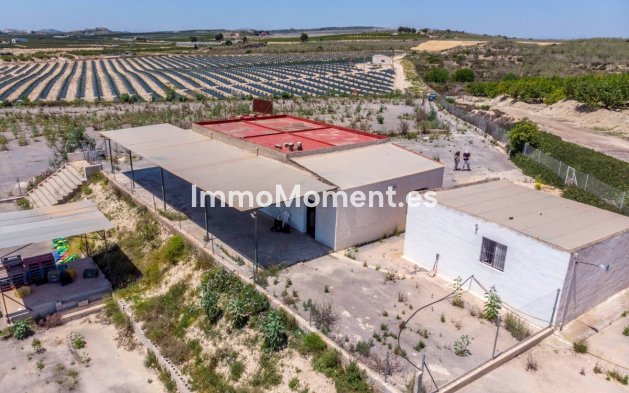 Reventa - Casa de campo - Los Montesinos - Los Montesinos Centro