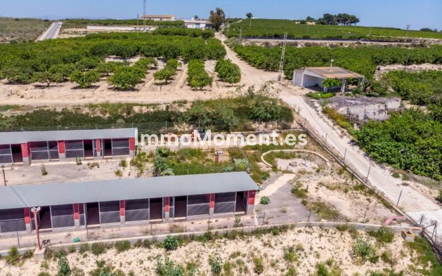 Reventa - Casa de campo - Los Montesinos - Los Montesinos Centro