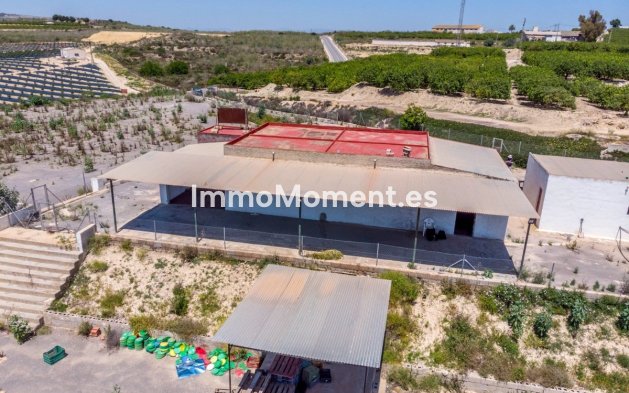 Reventa - Casa de campo - Los Montesinos - Los Montesinos Centro