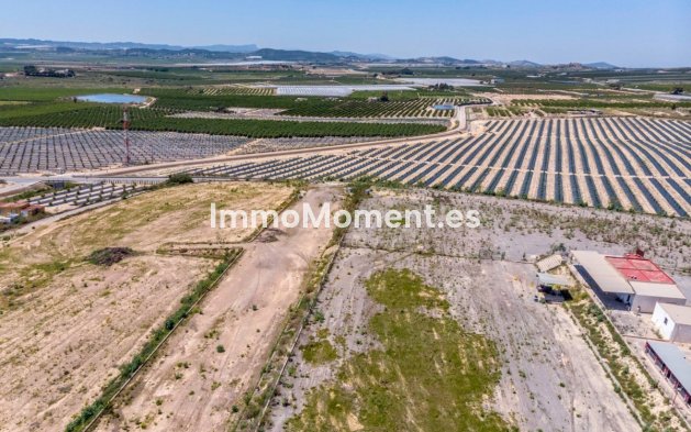 Reventa - Casa de campo - Los Montesinos - Los Montesinos Centro