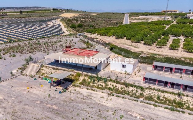 Reventa - Casa de campo - Los Montesinos - Los Montesinos Centro