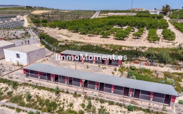 Reventa - Casa de campo - Los Montesinos - Los Montesinos Centro