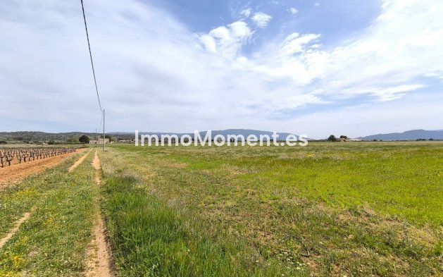 Resale - Country house - Yecla - Yecla Centro