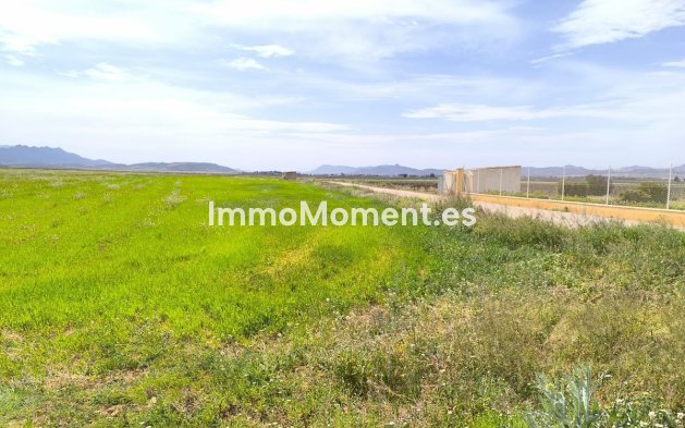 Resale - Country house - Yecla - Yecla Centro