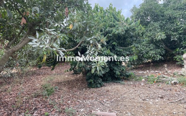 Reventa - Casa de campo - Interior  - Coín