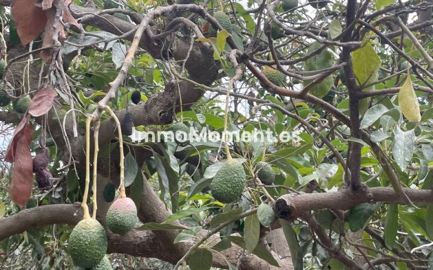 Reventa - Casa de campo - Interior  - Coín