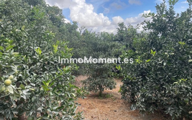 Reventa - Casa de campo - Interior  - Coín