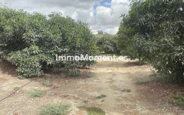 Reventa - Casa de campo - Interior  - Coín