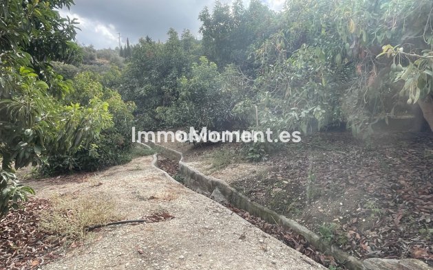 Reventa - Casa de campo - Interior  - Coín