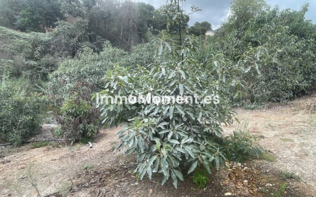Reventa - Casa de campo - Interior  - Coín