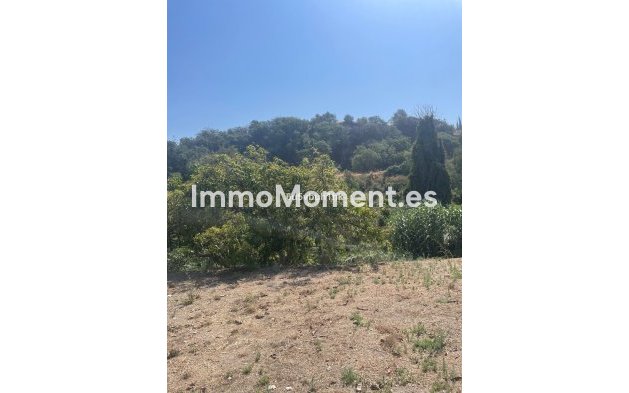 Reventa - Casa de campo - Interior  - Coín