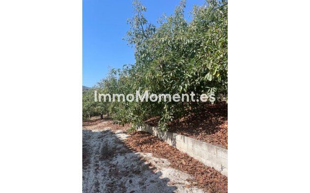 Reventa - Casa de campo - Interior  - Coín