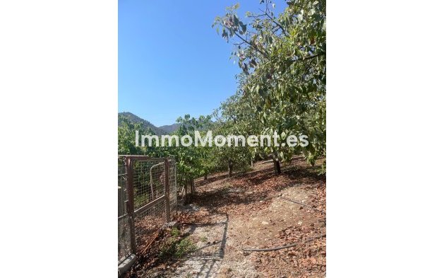 Reventa - Casa de campo - Interior  - Coín