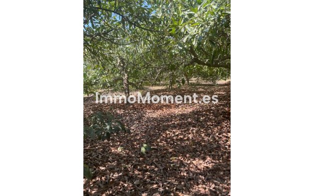 Reventa - Casa de campo - Interior  - Coín