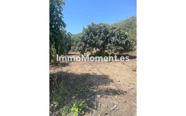 Reventa - Casa de campo - Interior  - Coín