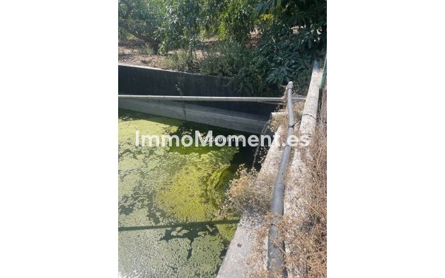 Reventa - Casa de campo - Interior  - Coín