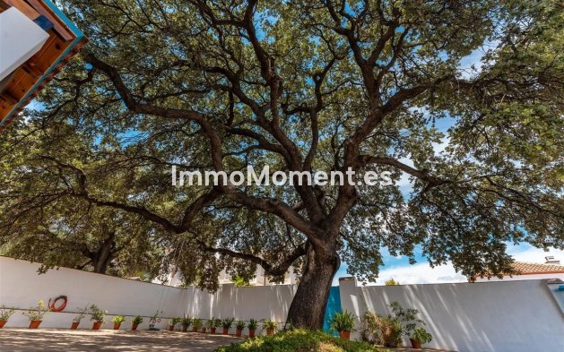 Reventa - Villa - Interior  - Alhaurín el Grande Centro