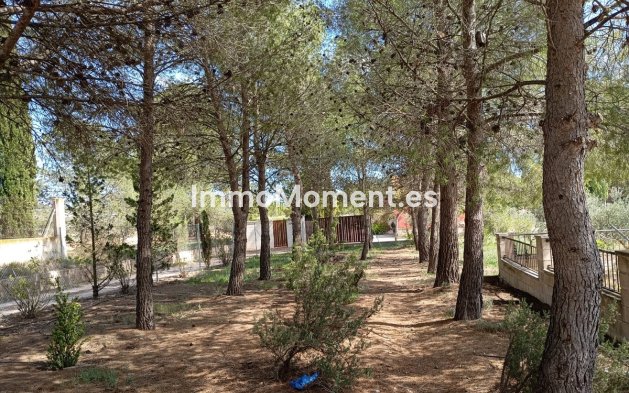 Wiederverkauf - Villa - Yecla - Yecla Centro