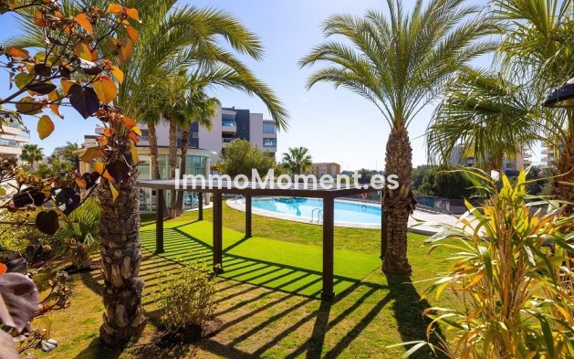 Wiederverkauf - Wohnung - Orihuela - Villamartin