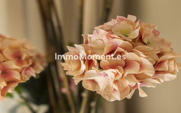 Wiederverkauf - Wohnung - Casares - Casares Centro