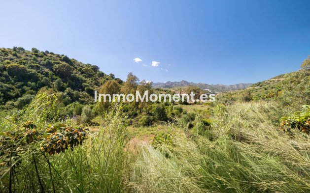 Resale - Apartment - Marbella - Marbella Centro