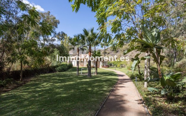 Resale - Apartment - Marbella - Marbella Centro