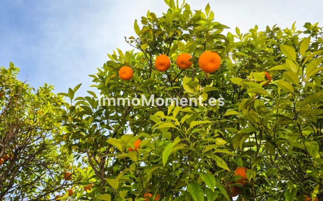 Revente - Appartement - Manilva - La Duquesa